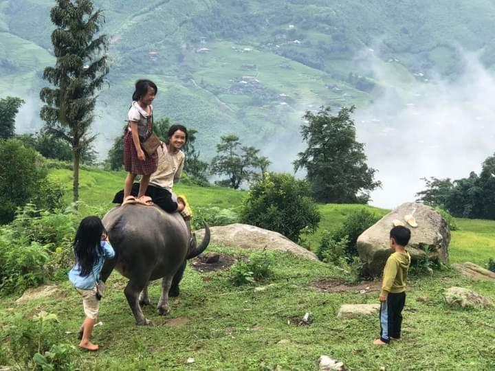Hmong Eco Villas ซาปา ภายนอก รูปภาพ